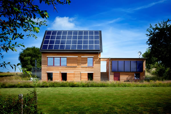 The totally wooden house in a flowering meadow.