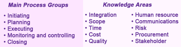Processes and knowledge required for professional project management.