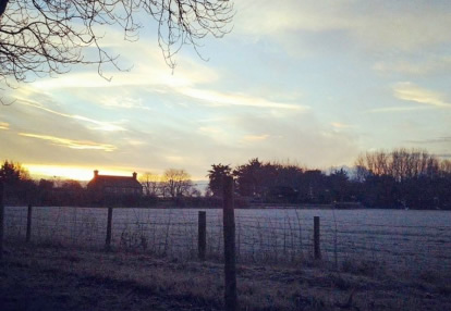 Frosty mornings at Ivory Egg headquarters are coming to an end.
