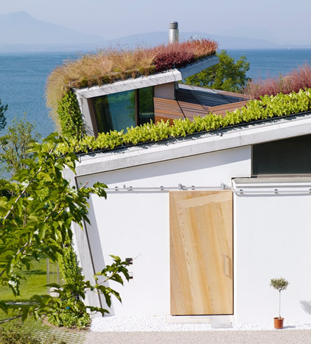 The green walls are automatically watered according to need.