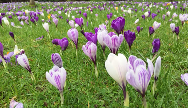 Spring has sprung in the northern hemisphere, which means warm days and cold nights.
