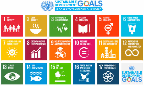 The sustainability goals of Newcastle University.